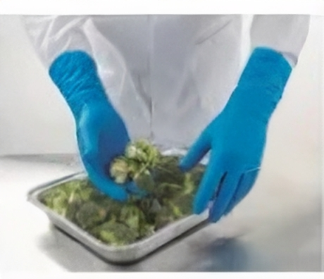 GUANTE DE NITRILO ANSELL 8 MIL DE ESP: AZUL M:37-310